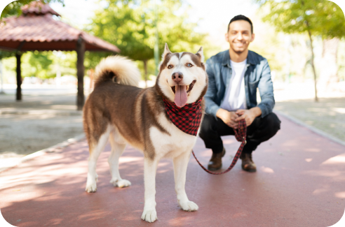 fond-lp-educateur-canin