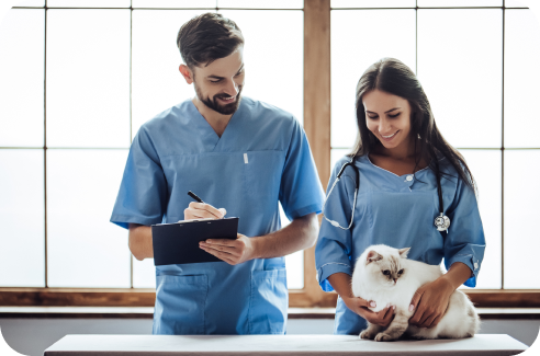 lp-fond-auxiliaire-veterinaire
