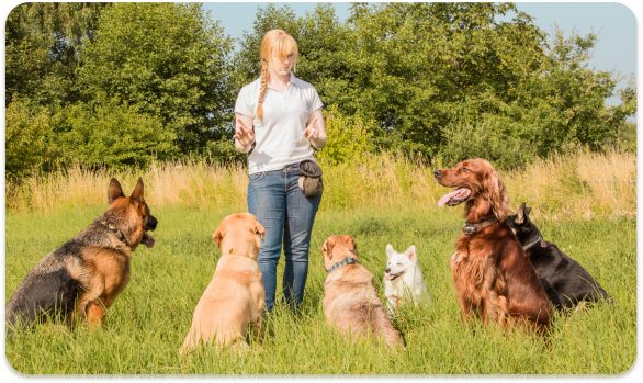 metiers-animaliers-documentation