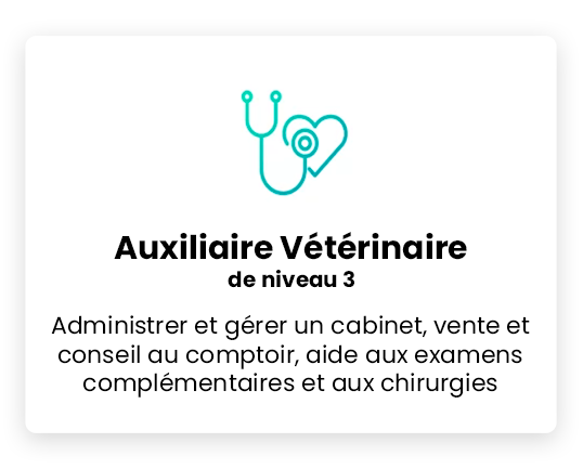 auxilaire-veterinaire-niveau3-youschool