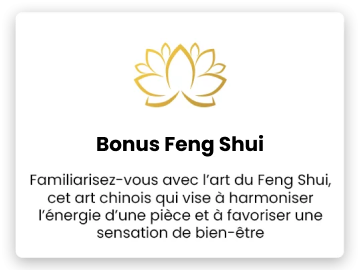 bonus-feng-shui-decoration-interieur