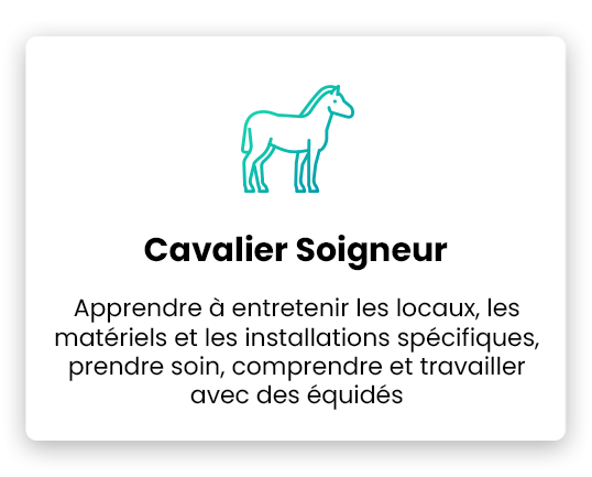 metier-cavalier-soigneur-youschool