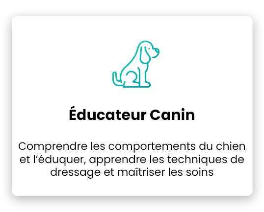 metier-educateur-canin-youschool