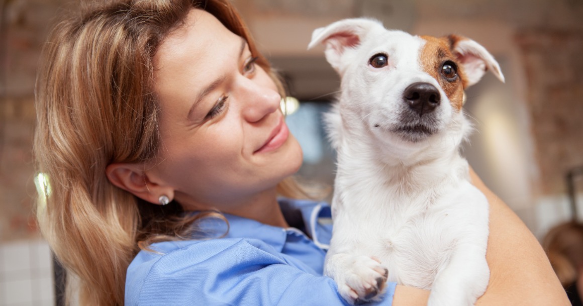 travailler avec des chiens