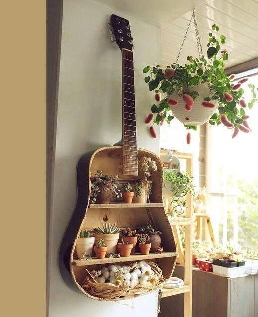 Plantes dans une guitare