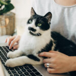 Élève ACACED Chat