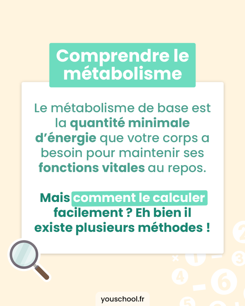 Comprendre le fonctionnement du métabolisme et comment le calculer