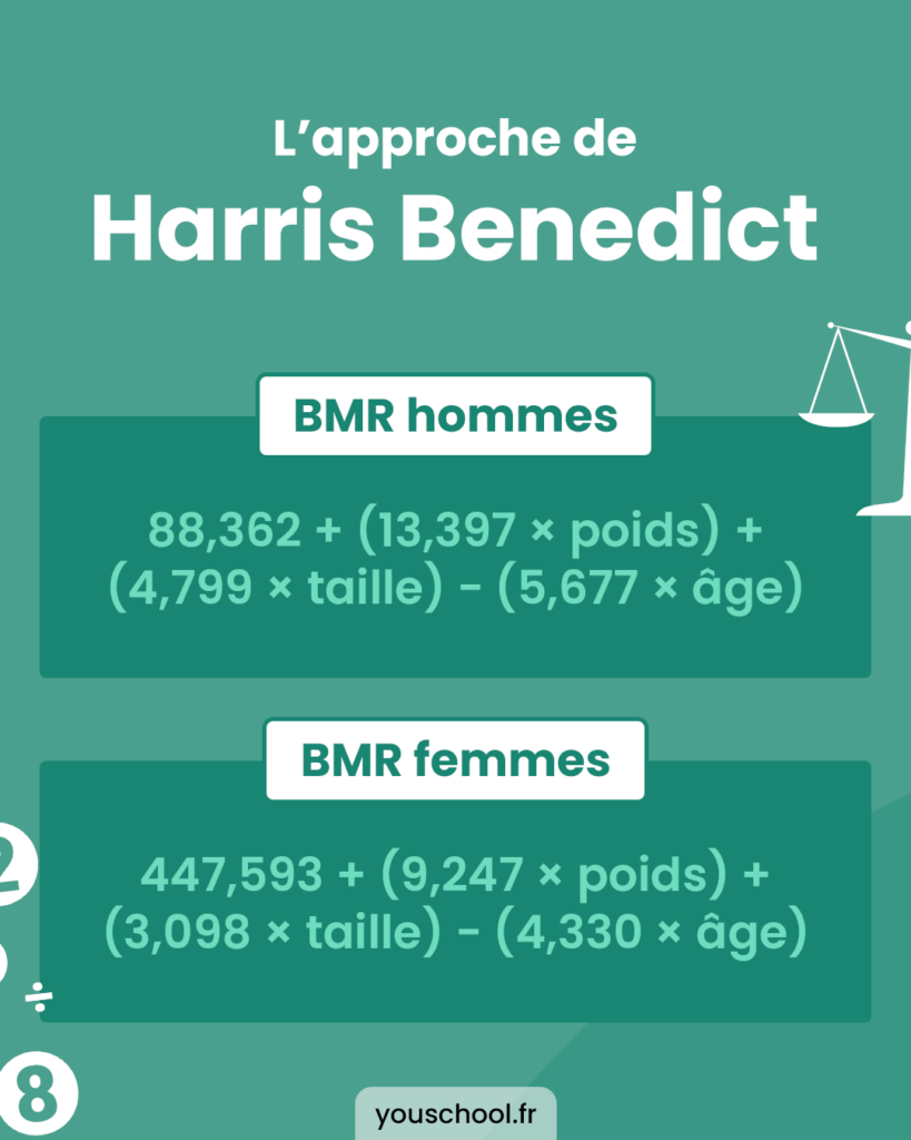 Calculer son métabolisme basal avec l'approche de Harris Benedict