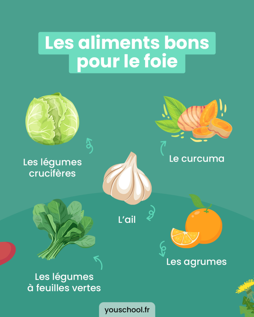 Les aliments à privilégier pour prendre soin de son foie