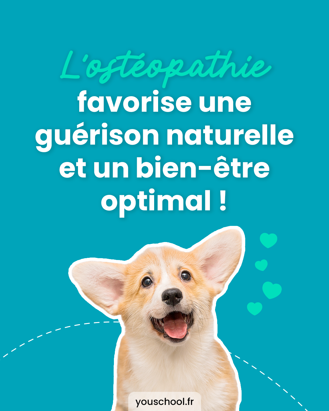 L'ostéopathie animale favorise la guérison naturelle et le bien-être