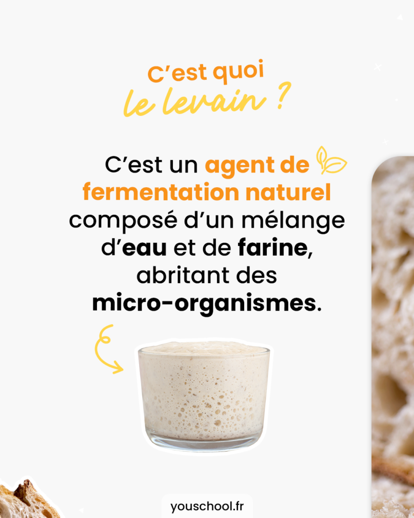 Qu'est ce que le levain en boulangerie ?
