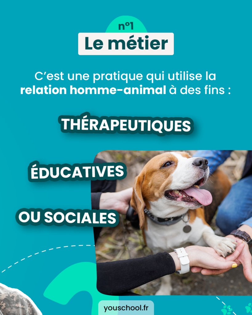 Qu'est-ce que la médiation animale à des fins thérapeutiques