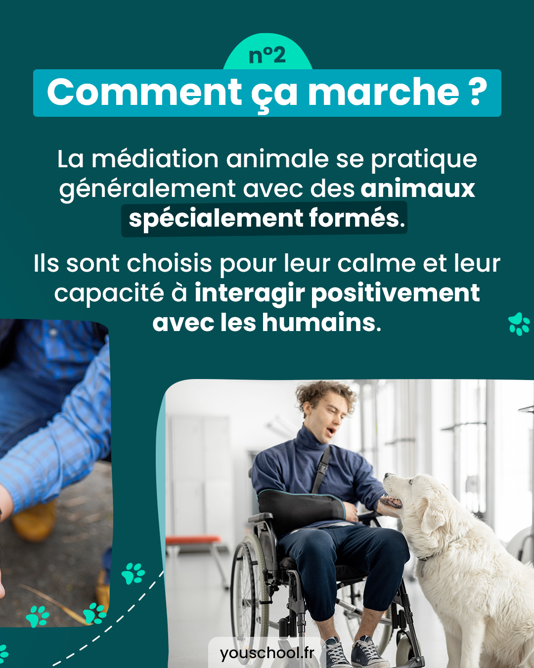 Comment fonctionne la médiation animale