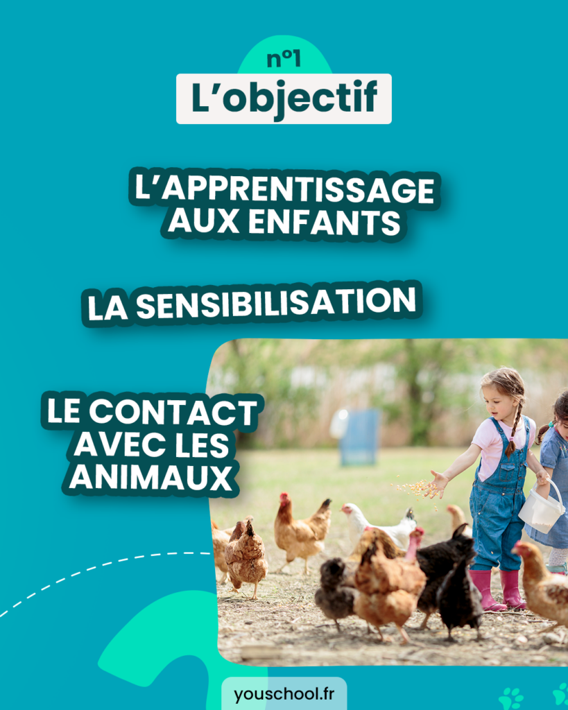 Les 3 objectifs de la création de fermes pédagogiques